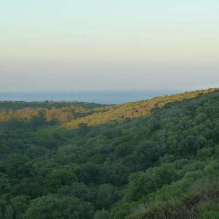 Alcaidesa Golf And Nature Διαμέρισμα San Roque  Εξωτερικό φωτογραφία